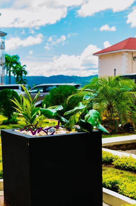 Falcon Islandview - Airport Pickup Available - 24Security Montego Bay Dış mekan fotoğraf